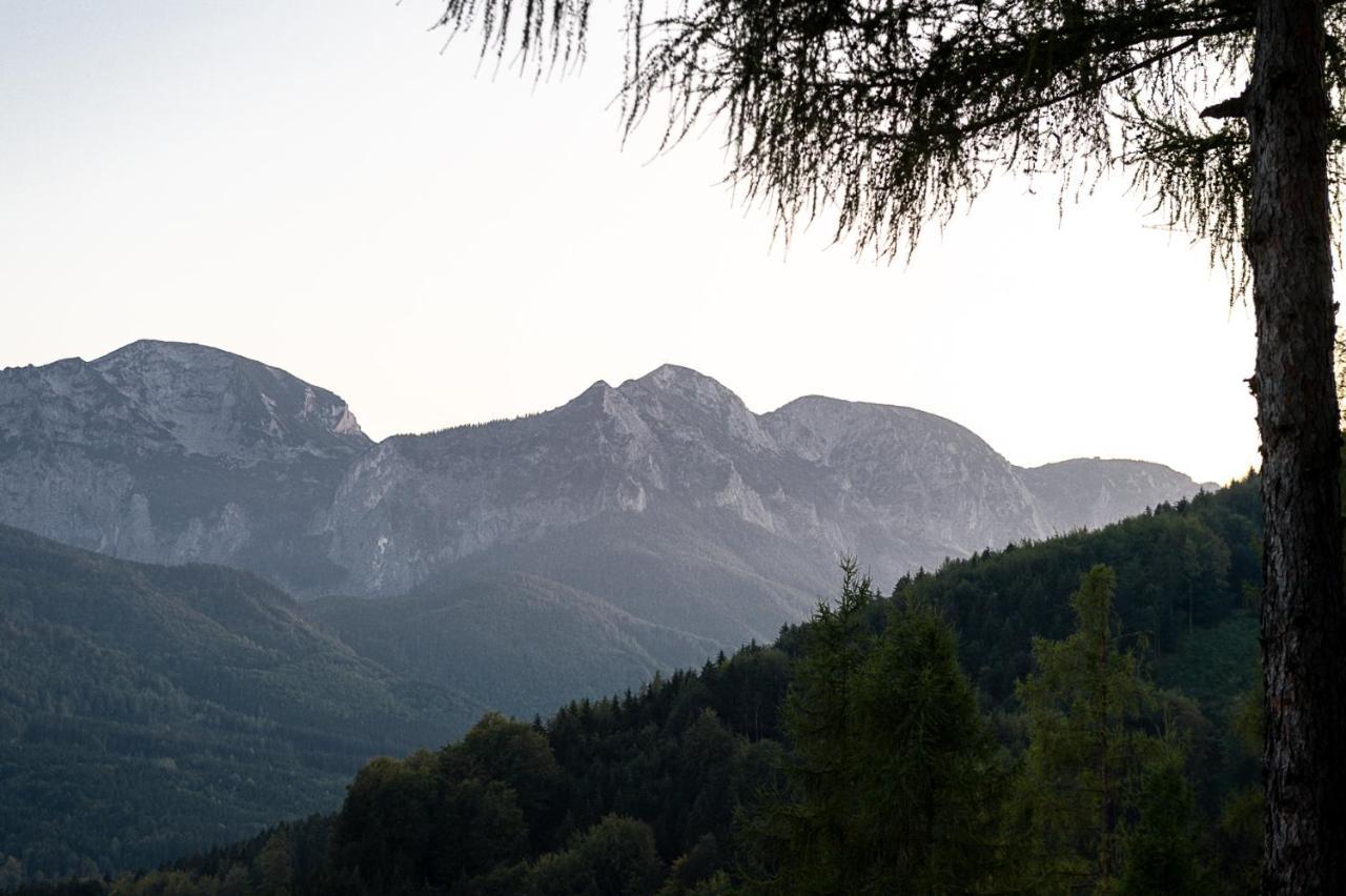 Kreitalm - Kraftplatz Im Salzkammergut Neukirchen  Exterior foto