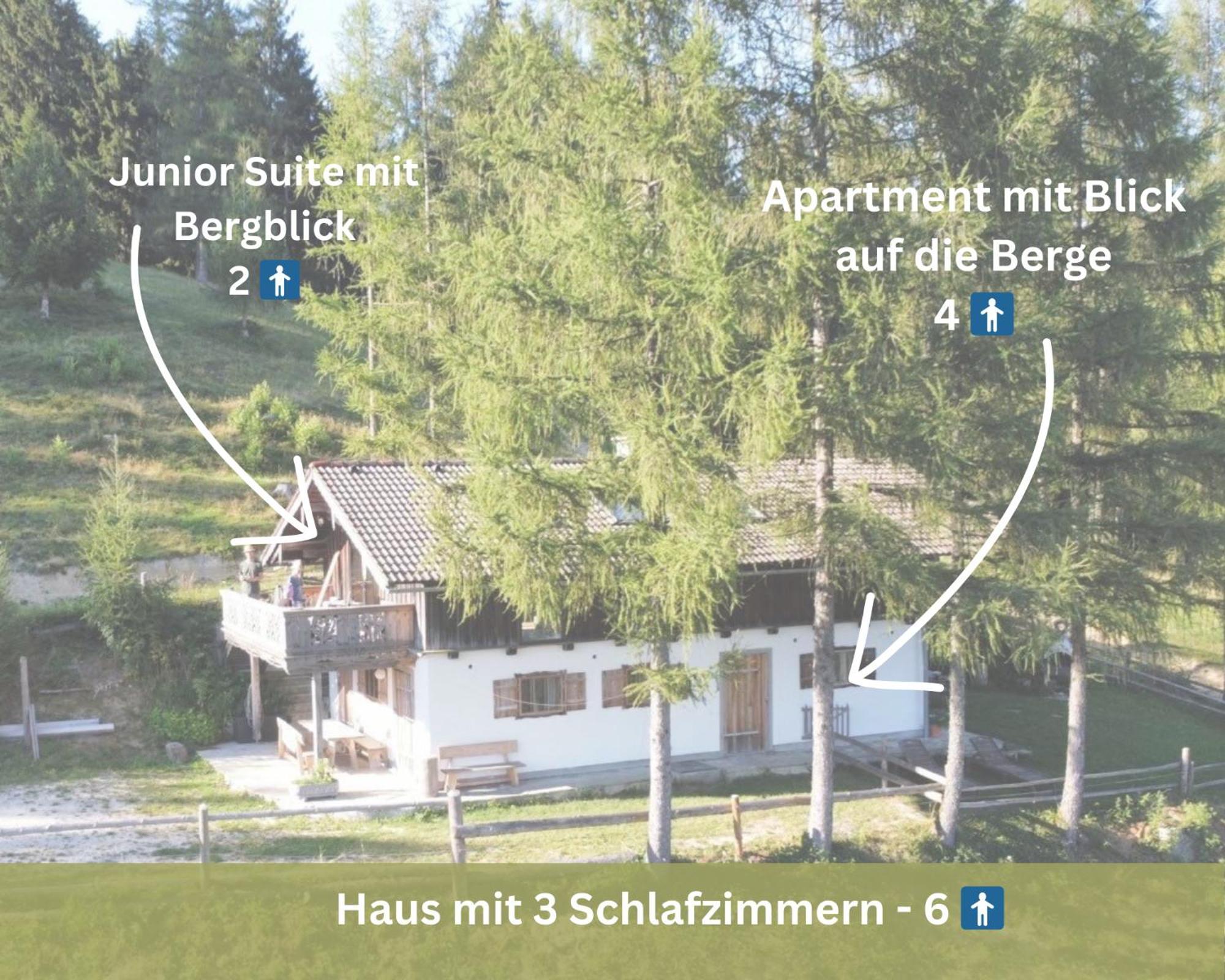 Kreitalm - Kraftplatz Im Salzkammergut Neukirchen  Exterior foto